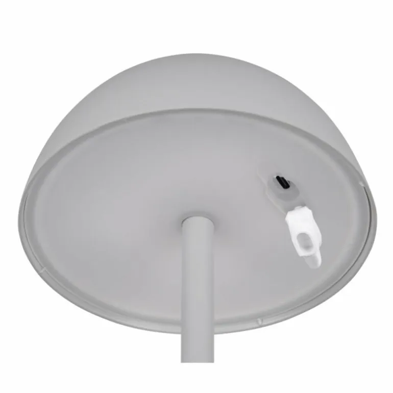 Lampe de table Reality RICARDO LED Gris, 1 lumière