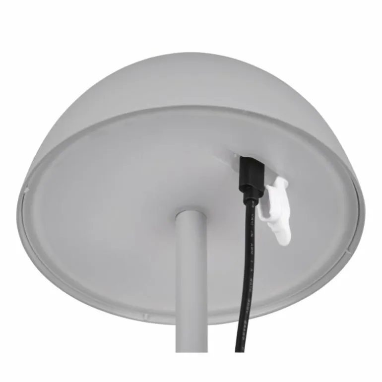 Lampe de table Reality RICARDO LED Gris, 1 lumière
