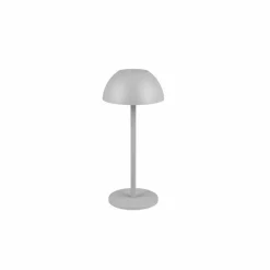 Lampe de table Reality RICARDO LED Gris, 1 lumière