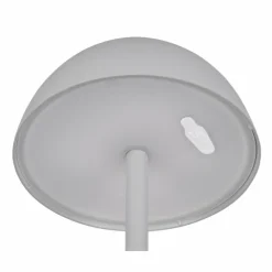 Lampe de table Reality RICARDO LED Gris, 1 lumière