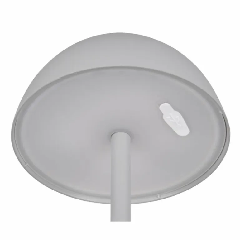 Lampe de table Reality RICARDO LED Gris, 1 lumière
