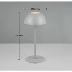 Lampe de table Reality RICARDO LED Gris, 1 lumière