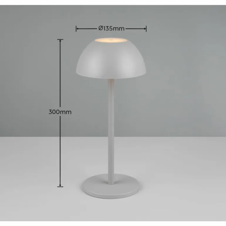 Lampe de table Reality RICARDO LED Gris, 1 lumière