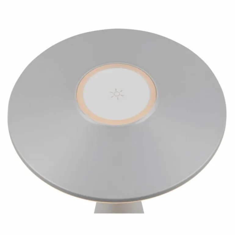 Lampe de table Reality TORREZ LED Gris, 1 lumière