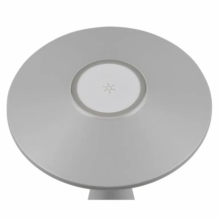 Lampe de table Reality TORREZ LED Gris, 1 lumière