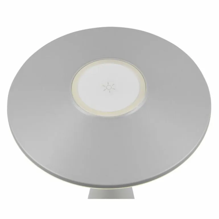 Lampe de table Reality TORREZ LED Gris, 1 lumière