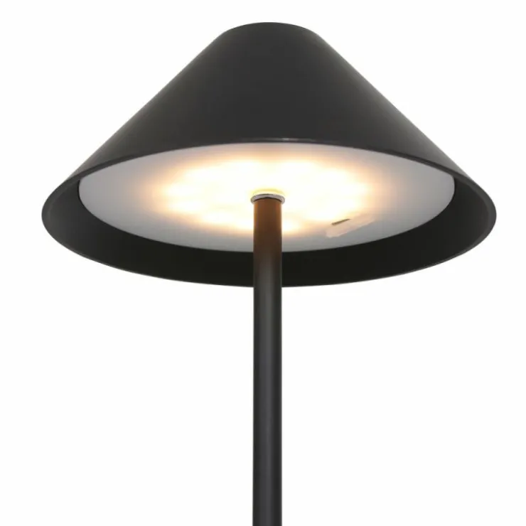 Luminaires Steinhauer Éclairage Led|Lampe de table Steinhauer Ancilla LED Noir, 1 lumière