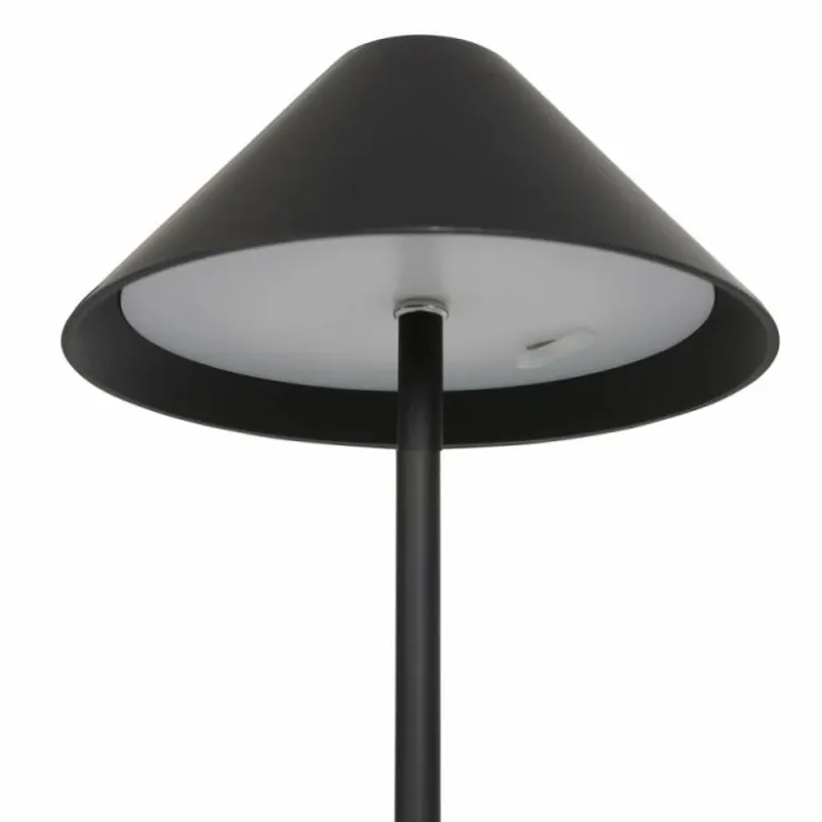 Luminaires Steinhauer Éclairage Led|Lampe de table Steinhauer Ancilla LED Noir, 1 lumière