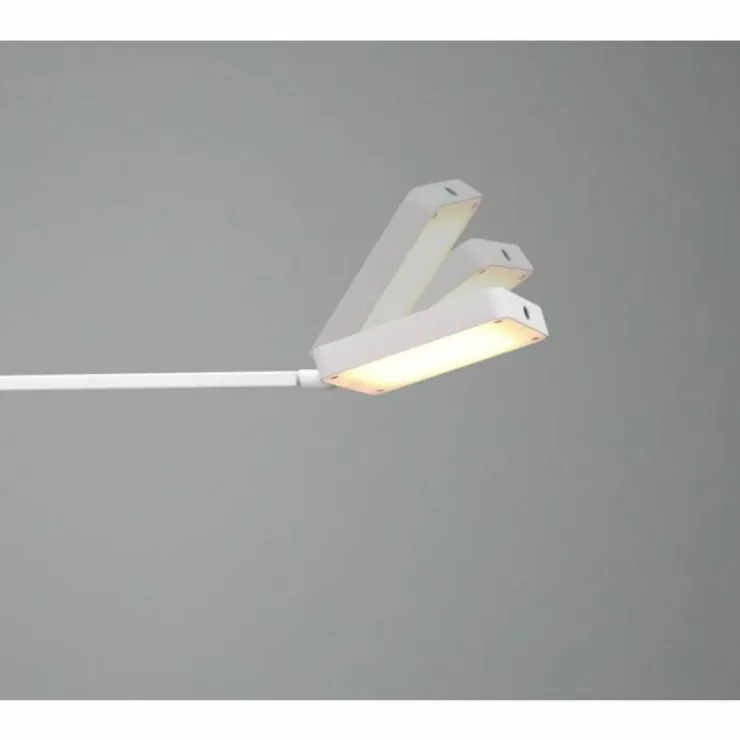 Luminaires Trio Lampes À Poser|Lampe de table Trio Pavia LED Blanc, 1 lumière