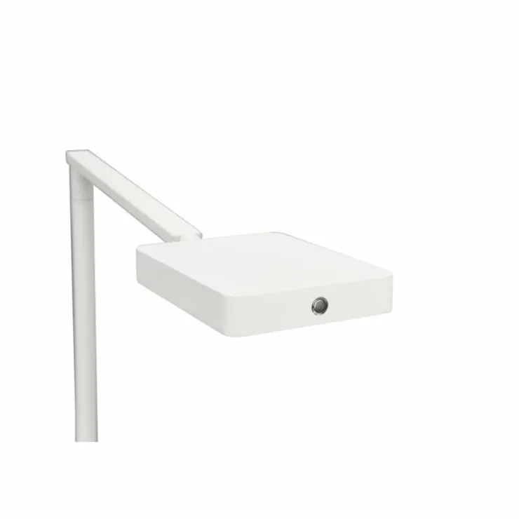 Luminaires Trio Lampes À Poser|Lampe de table Trio Pavia LED Blanc, 1 lumière