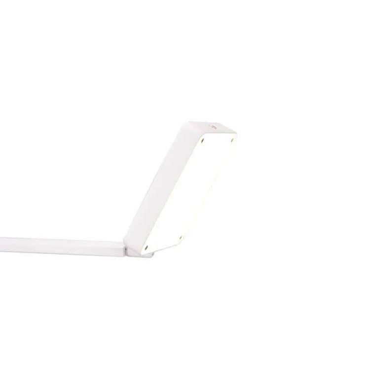 Luminaires Trio Lampes À Poser|Lampe de table Trio Pavia LED Blanc, 1 lumière
