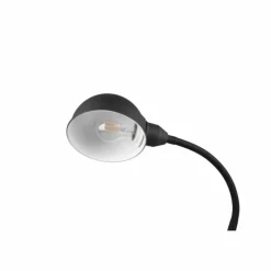 Luminaires Trio Lampes À Poser|Lampe de table Trio Perry Noir, 1 lumière