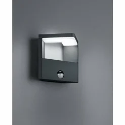 Lampe murale d'extérieur Trio Ganges LED Anthracite, 1 lumière, Détecteur de mouvement