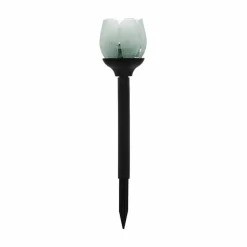 lampe solaire Eglo BLÜTE LED Noir, 2 lumières, Changeur de couleurs