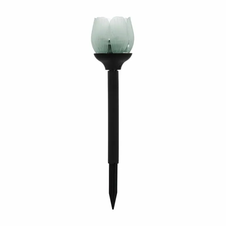 lampe solaire Eglo BLÜTE LED Noir, 2 lumières, Changeur de couleurs
