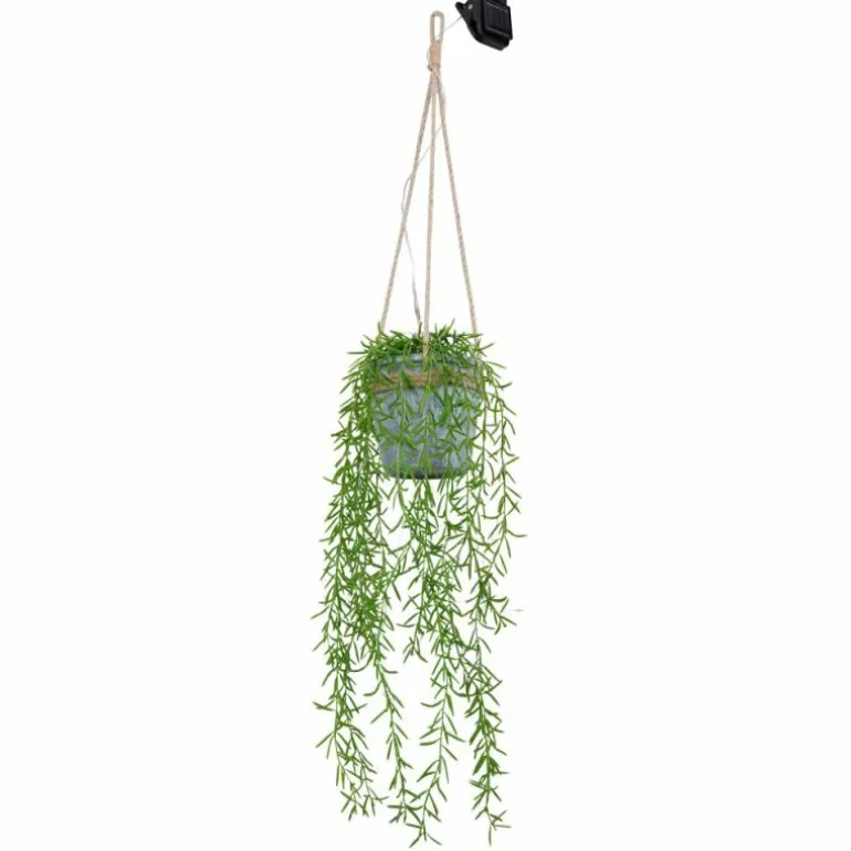 lampe solaire Globo SOLAR LED Gris, Vert, 50 lumières