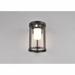 Lampe solaires Trio Carmo LED Noir, 1 lumière, Détecteur de mouvement