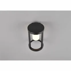 Lampe solaires Trio Carmo LED Noir, 1 lumière, Détecteur de mouvement