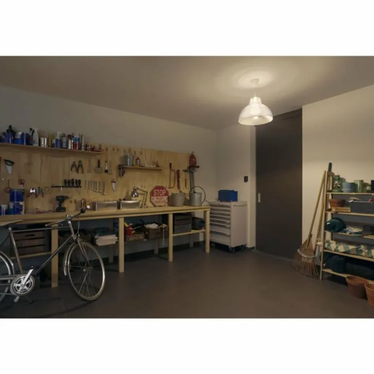 LED E27 15,5 Watt 2200 - 6500 Kelvin 1100 Lumen Philips Hue White