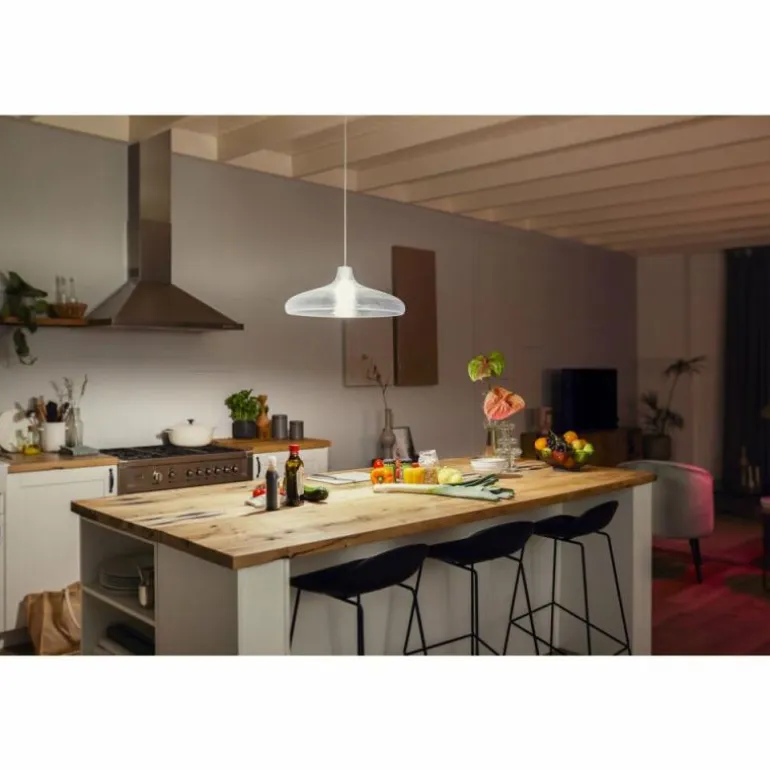 LED E27 15,5 Watt 2200 - 6500 Kelvin 1100 Lumen Philips Hue White