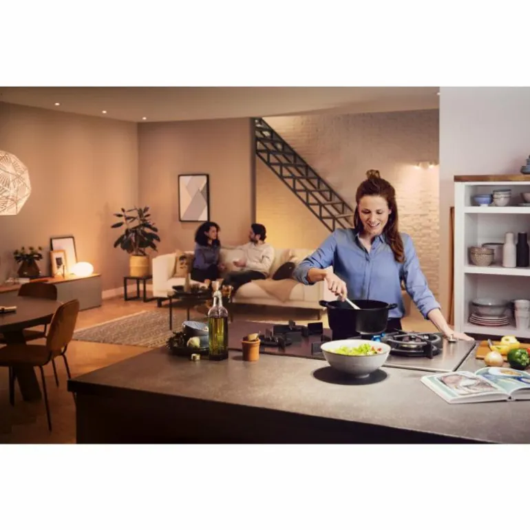 LED E27 13,5 Watt 2200 - 6500 Kelvin 1200 Lumen Philips Hue White Ambiance