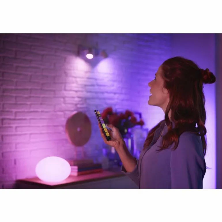 LED E27 15 Watt 2200 - 6500 Kelvin 1200 Lumen Philips Hue White & Color Ambiance