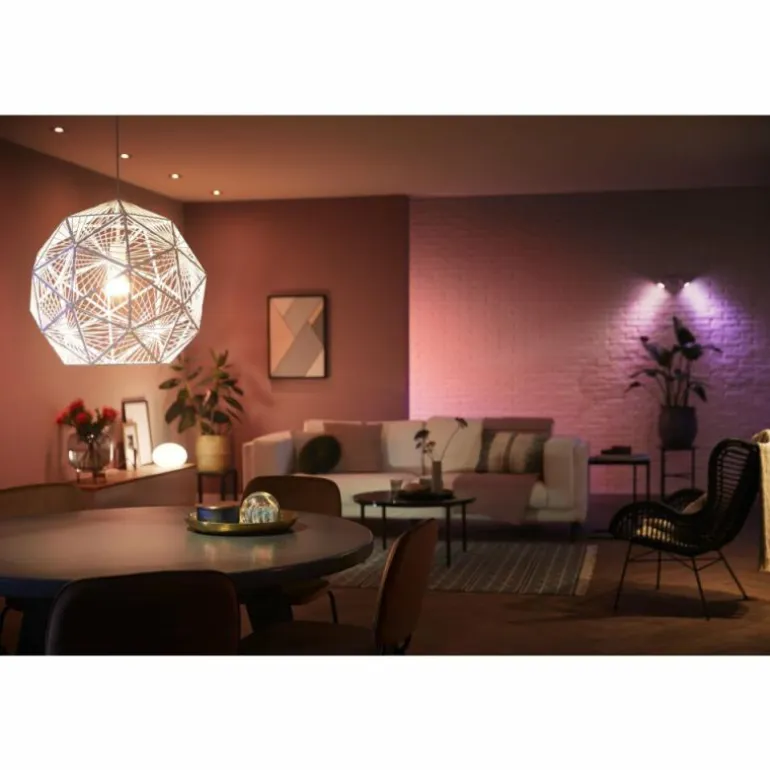 LED E27 15 Watt 2200 - 6500 Kelvin 1200 Lumen Philips Hue White & Color Ambiance