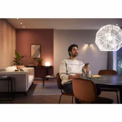 LED E27 9 Watt 2700 Kelvin 800 Lumen Philips Hue White