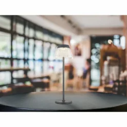 Luminaires Globo Lighting Éclairage Led|Lora Lampe à poser LED Anthracite, 1 lumière