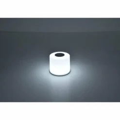 Lot de 2 lampes solaires Lutec NOMA LED Blanc, 2 lumières, Changeur de couleurs