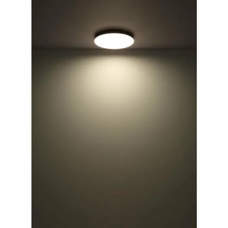Luminaires Globo Lighting Éclairage Led|Matthew Plafonnier LED Noir, Blanc, 1 lumière