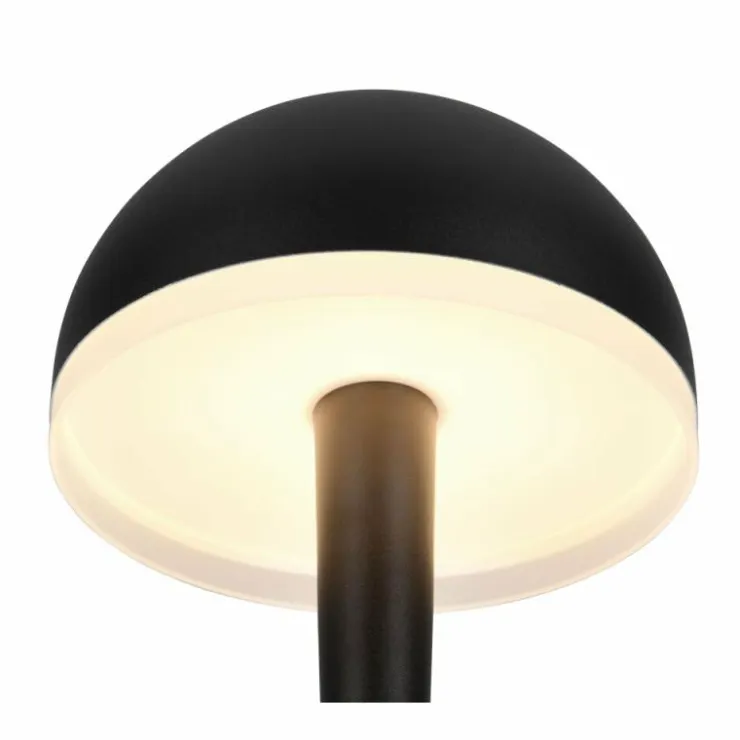 Luminaires Reality Éclairage Led|Mendorez Lampadaire LED Noir, 1 lumière