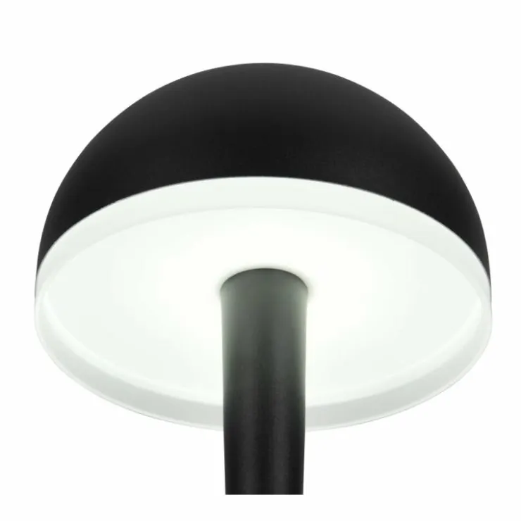 Luminaires Reality Éclairage Led|Mendorez Lampadaire LED Noir, 1 lumière