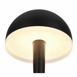 Luminaires Reality Éclairage Led|Mendorez Lampe à poser LED Noir, 1 lumière