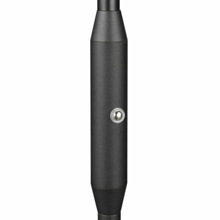 Luminaires Reality Éclairage Led|Moreno Lampadaire LED Noir, 1 lumière