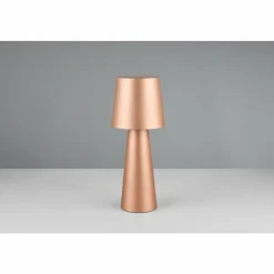 Luminaires Trio Lampes À Poser|Nubian Lampe à poser Brun, 1 lumière