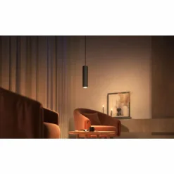 Pendule Philips Hue Perifo LED Noir, 1 lumière, Changeur de couleurs