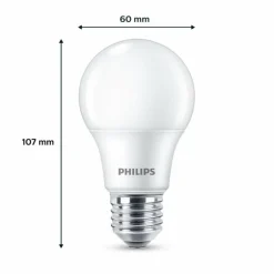 Philips Classic Lot de 2 LED E27 4,9 watt 2700 kelvin 470 lumen
