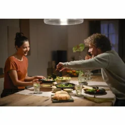 Philips HUE E27 15,5 Watt 2700 Kelvin 1600 Lumen