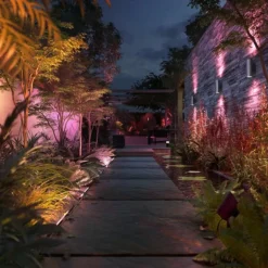 Philips Hue White and Color Ambiance Amarant LED Noir, 1 lumière, Changeur de couleurs