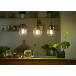 Philips Lot de 2 E14 LED 2,3 Watt 3000 Kelvin 485 lumens