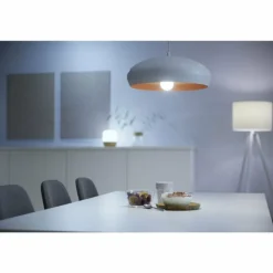 Philips WiZ LED E27 8 watt 2200 - 6500 kelvin 806 lumen