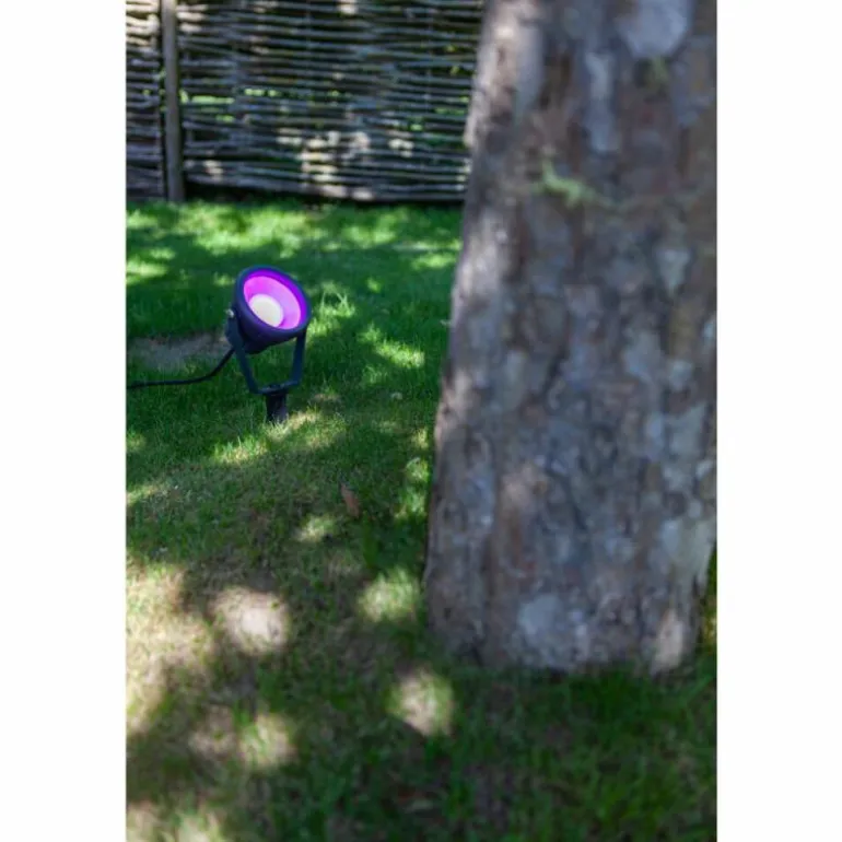 pique de terre Lutec MINI LETO LED Anthracite, 1 lumière, Changeur de couleurs