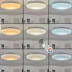 Plafonnier Ral LED Argenté, Blanc, 1 lumière, Télécommandes, Changeur de couleurs