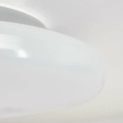 Plafonnier Ral LED Argenté, Blanc, 1 lumière, Télécommandes, Changeur de couleurs