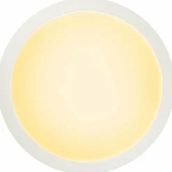 Luminaires Brilliant Éclairage Led|Plafonnier Brilliant Abie LED Blanc, 1 lumière, Télécommandes, Changeur de couleurs