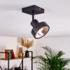 hofstein Spots Et Projecteurs|Plafonnier Chagres Noir, 1 lumière