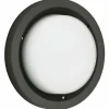 Plafonnier d'extérieur Albert 6410 LED Noir, 1 lumière