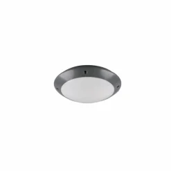 Plafonnier d'extérieur Reality CAMARO Anthracite, 1 lumière