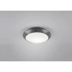 Plafonnier d'extérieur Reality CAMARO Anthracite, 1 lumière